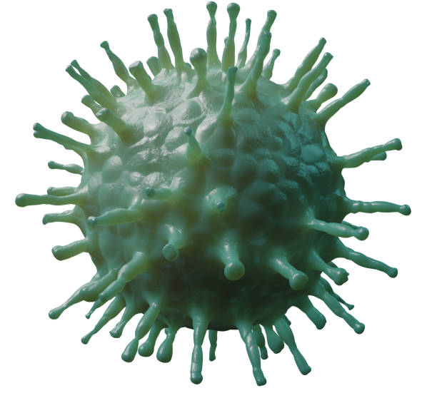 virginia coronavirus stats - cdc hepatitis a vaccine recommendations